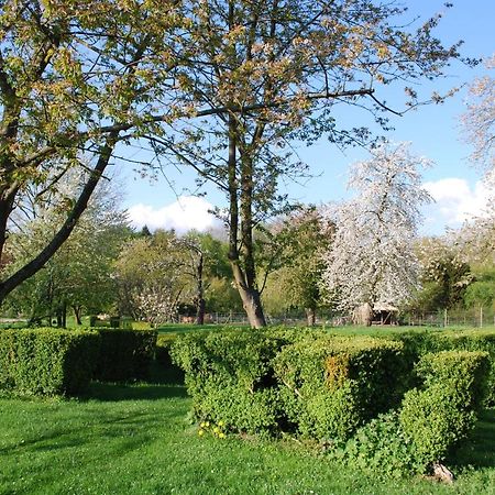 Gites Aux Fleurs De Cerises Le Plessis-Luzarches Exterior foto
