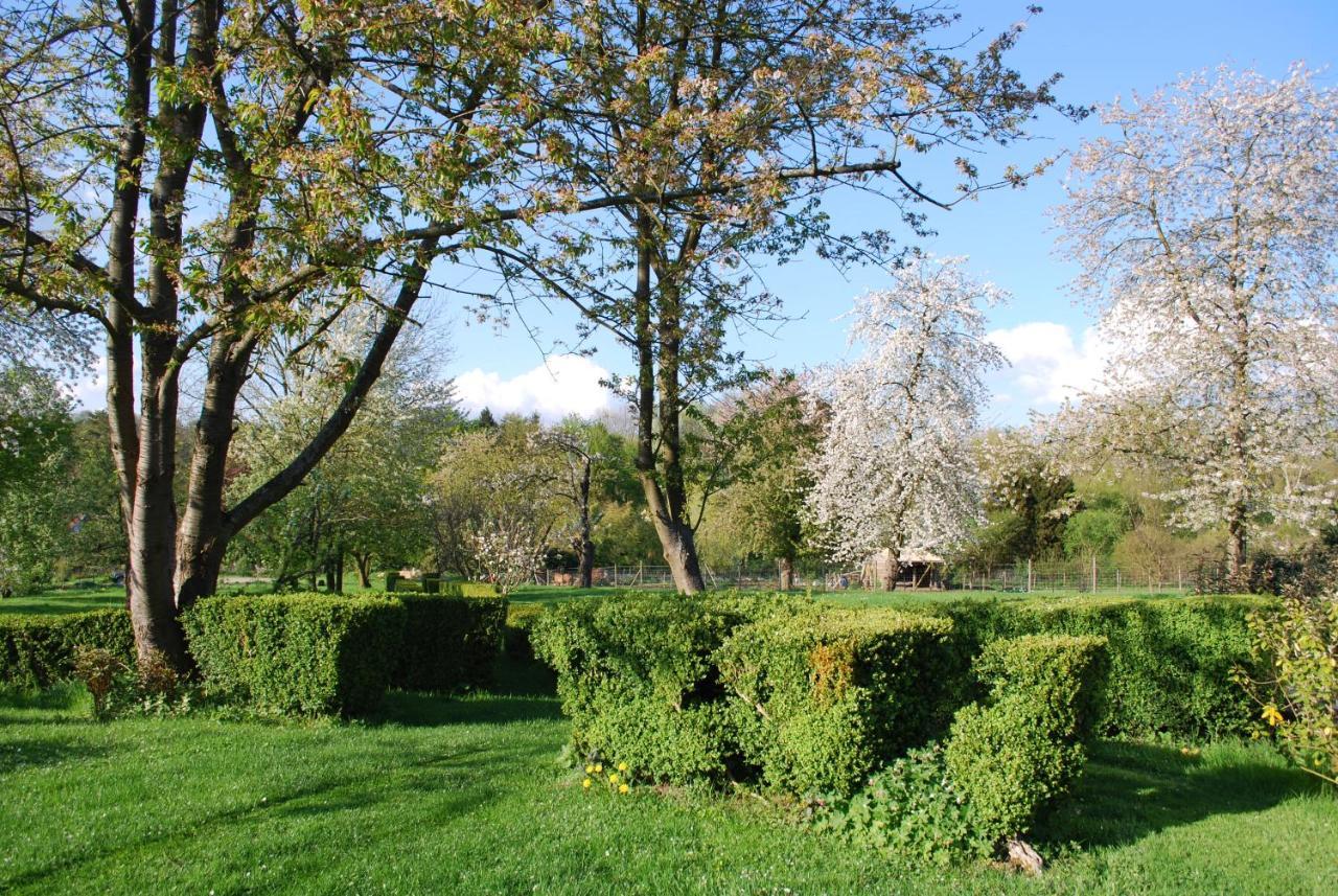 Gites Aux Fleurs De Cerises Le Plessis-Luzarches Exterior foto